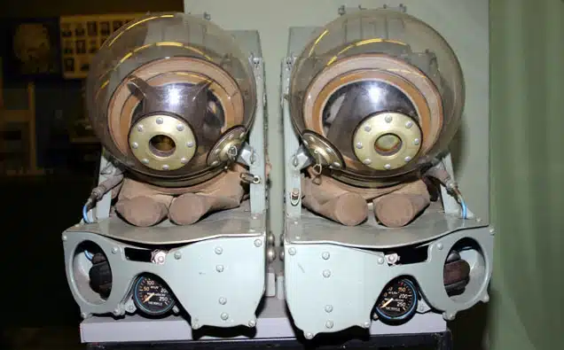 Dog Space Suits 1 Dog Space Suits 1