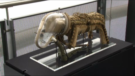 Dogs In Space Suits 6