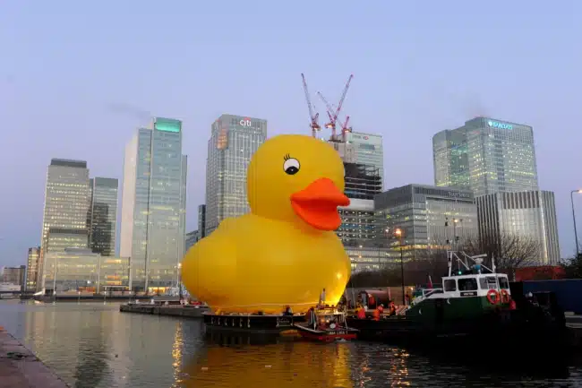 Rubber Duck Rubber Duck