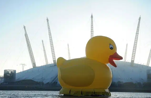 Rubber Duck Rubber Duck