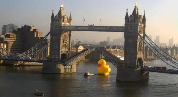 Rubber Duck Rubber Duck