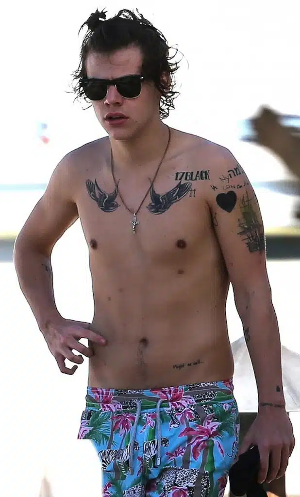 Harry Styles Tattoos Harry Styles Tattoos