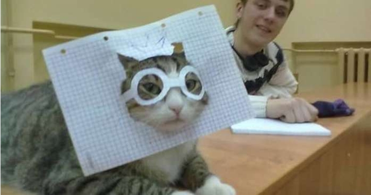 Hilarious Russian Photos - Russian Cat Mask