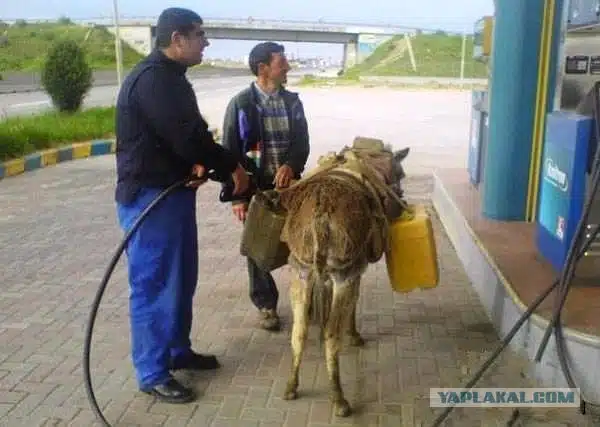 Hilarious Russian Photos - Transport Hilarious Russian Photos - Transport