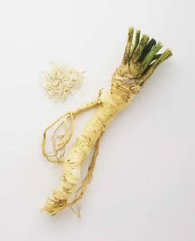 Horse Radish - Whole Horse Radish - Whole
