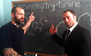 Never Trust A Hippy – PhD Boffs Back DMT, Though, So It Must Be Quality, Huh?