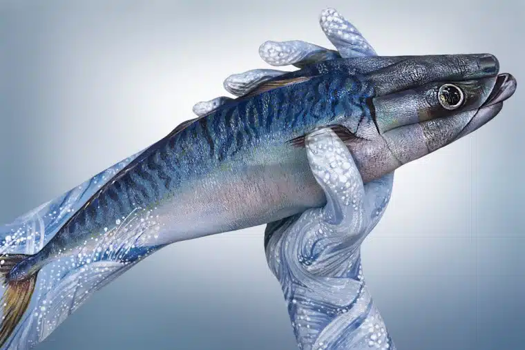 Fish