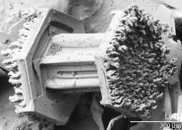A snowflake under a micrograph