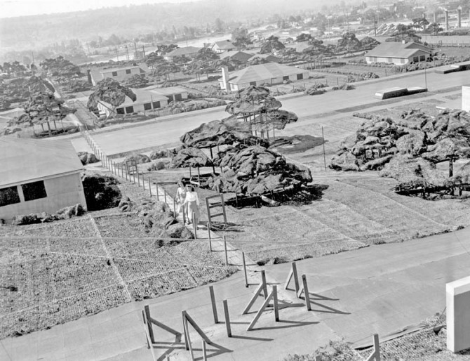 Camouflaged Town - Boeing Plant 2