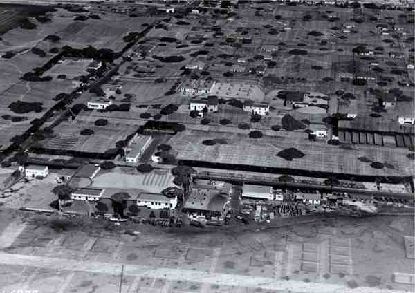 Camouflaged Town - Lockheed Plant
