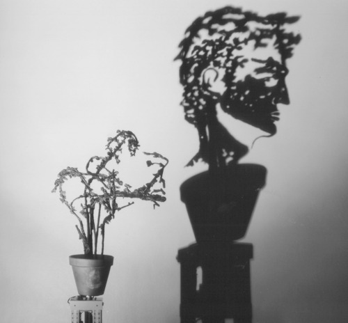 Plant Light Sculpture
