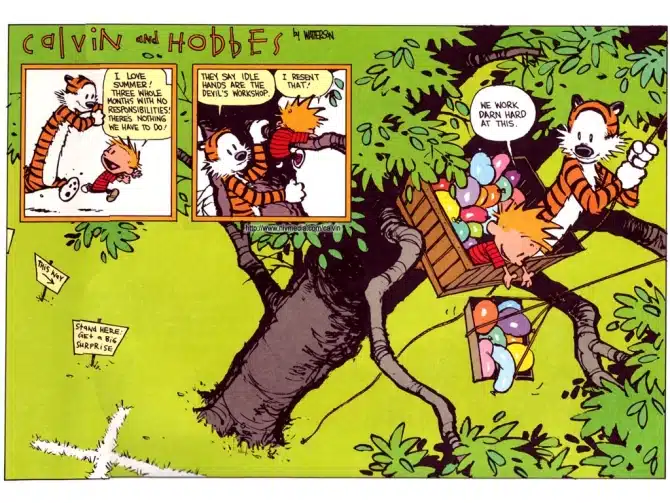 calvin3