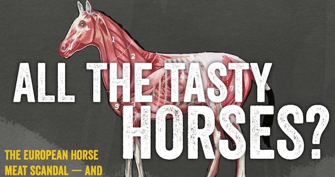 Horsemeat Infographic Featured