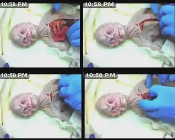 Russian Alien Body - Dissection
