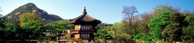 Suicide Rate -South Korea - Summer Scene Suicide Rate -South Korea - Summer Scene