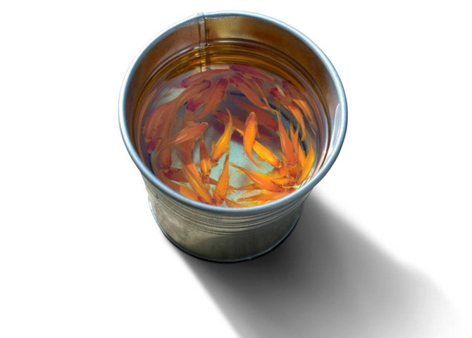 Keng Lye Goldfish Bucket