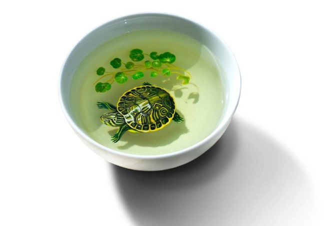 Keng Lye Turtle