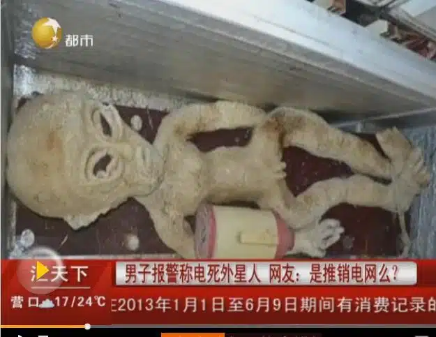 Mr Li - China Alien In Freezer Arrest - News