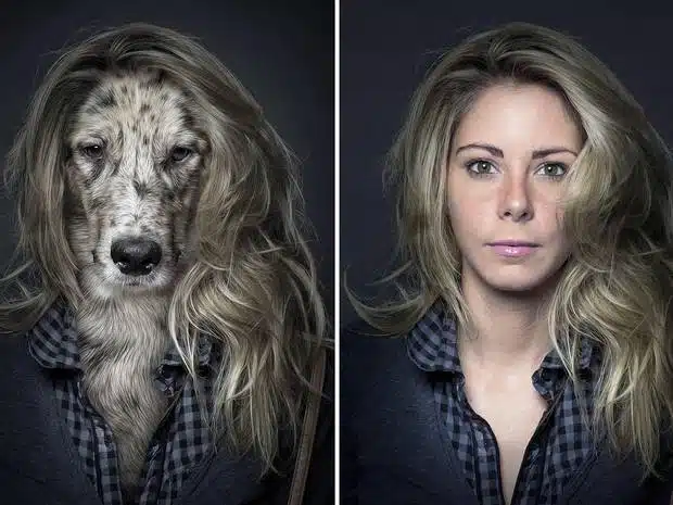 underdogs photo series