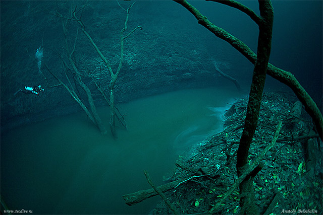 Underwater River 5