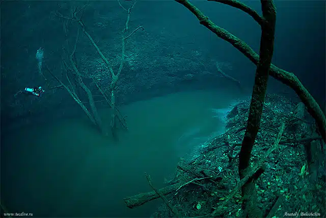 Underwater River 5