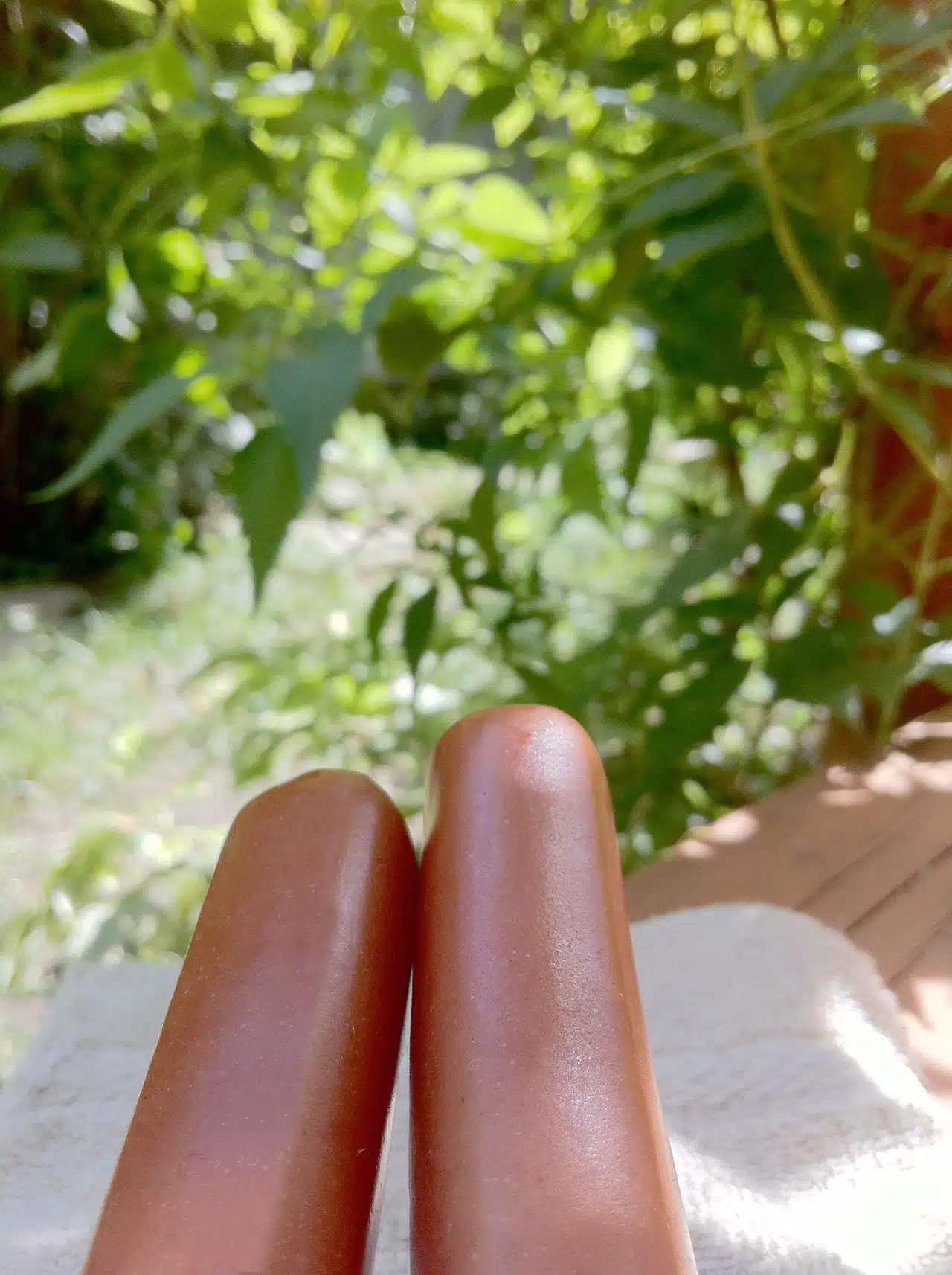 LEGS