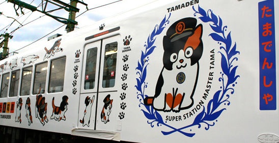 CAT TRAIN