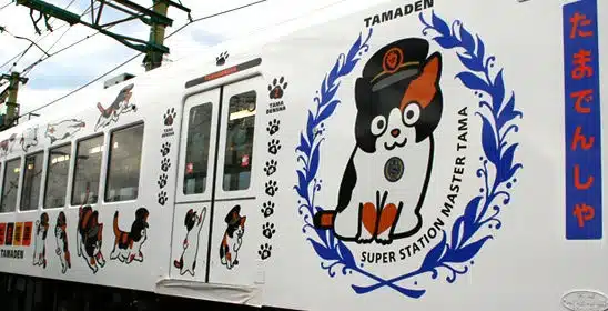 CAT TRAIN