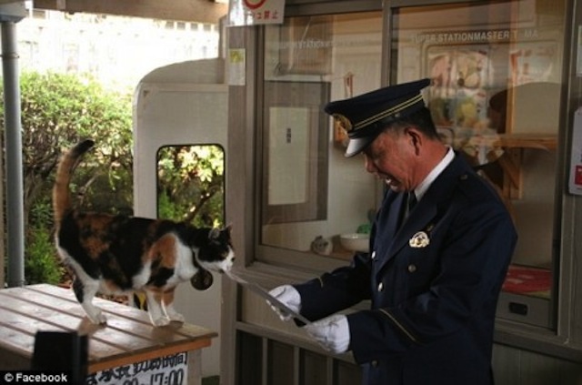 TAMA