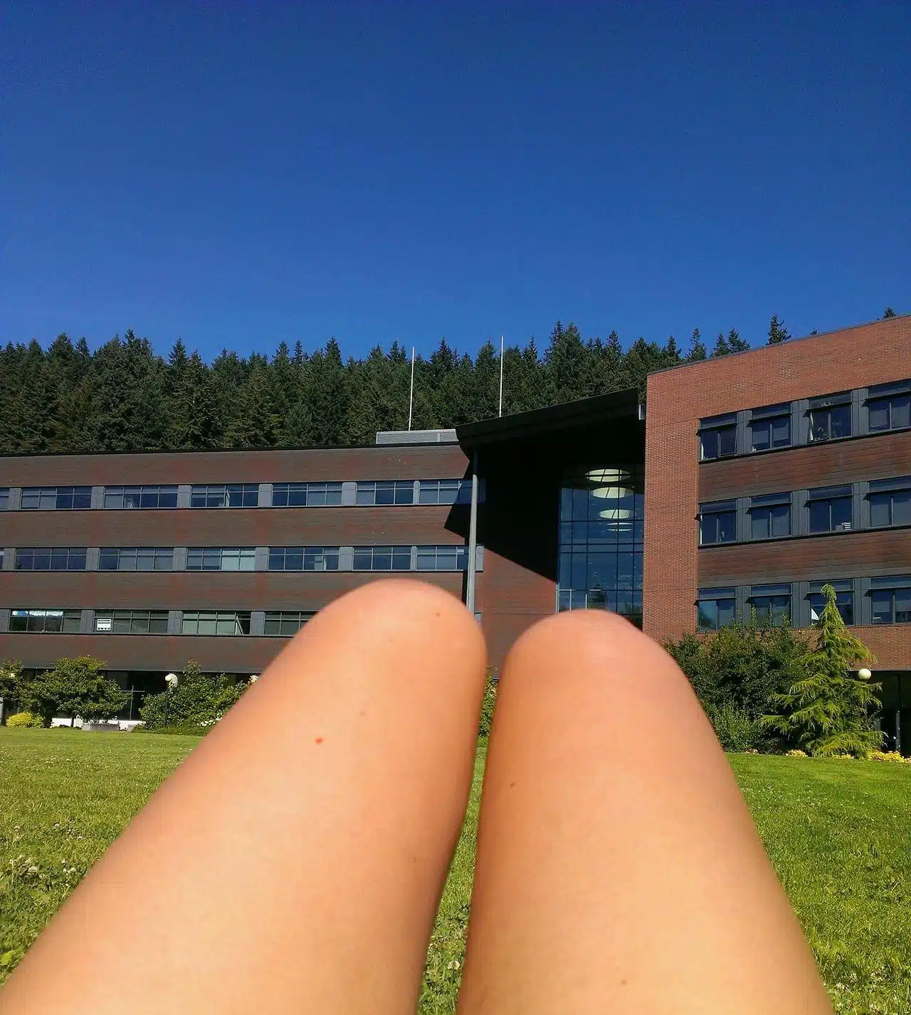 LEGS