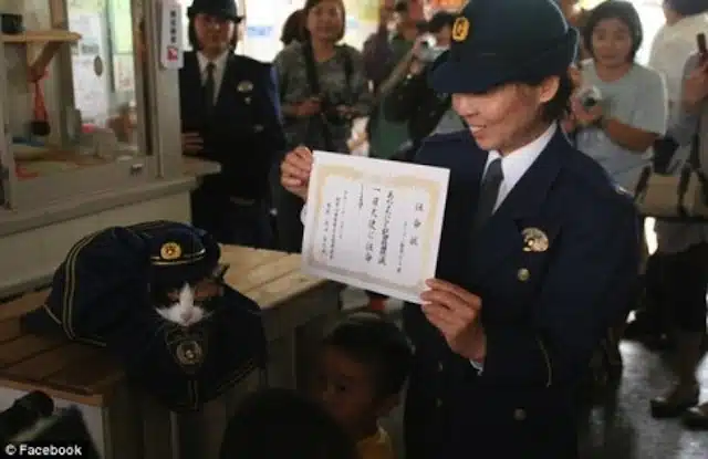 TAMA