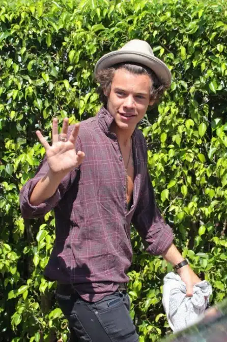 Harry Styles Mobile