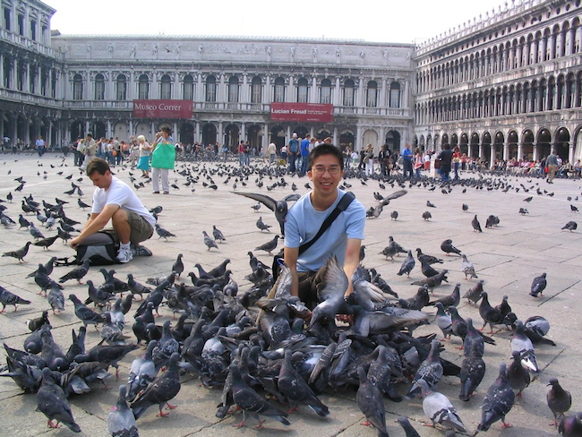 Pigeons St Mark's Square