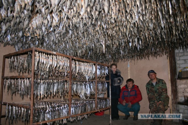 Awesome Phots From Russia With Love - Loads of Fish