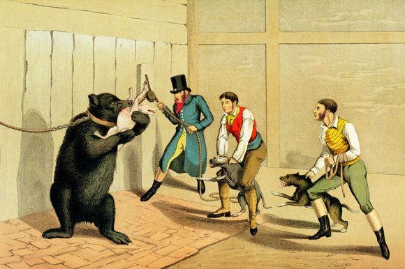 Bear Baiting Past And Present - Painting