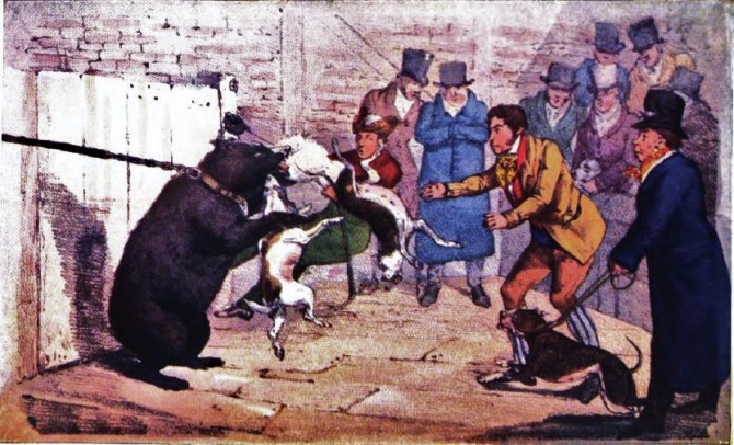 Bear Baiting Past And Present - The National Sports of Great Britain -Henry Thomas Alken