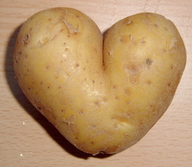 Nothing Is Boring - History of the Potato - Heart Shaped Mutant