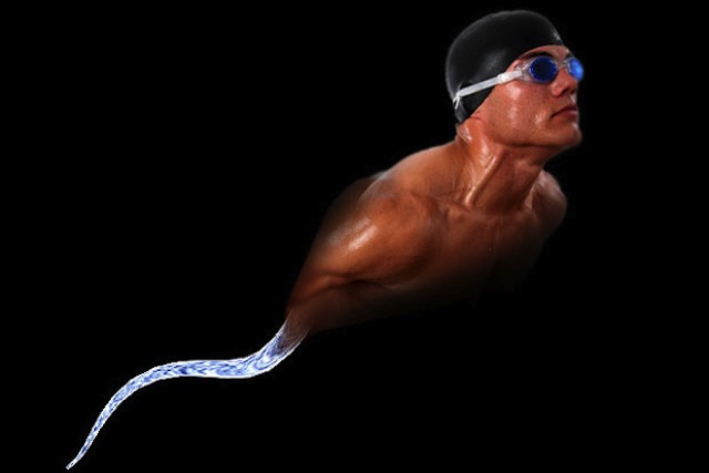 Sperm Swimmer