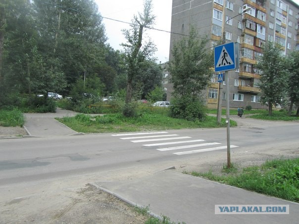 Awesome Photos From Russia With Love - Zebra Crossing 2