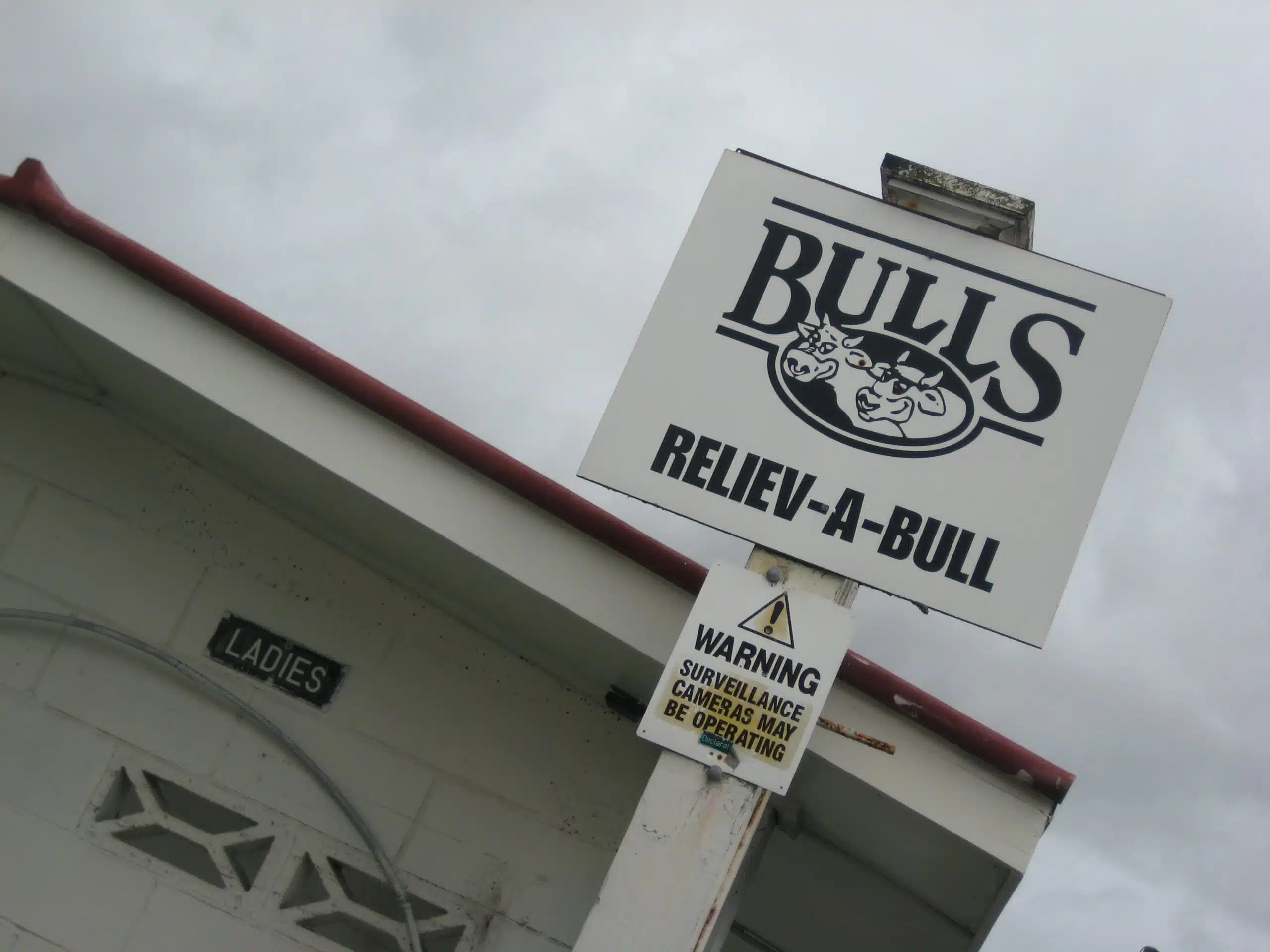 Bulls 8