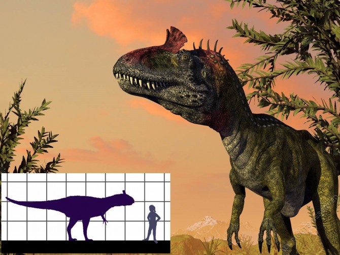Dinosaur - Weirdest Strangest Coolest - Cryolophosaurus - Large Frill