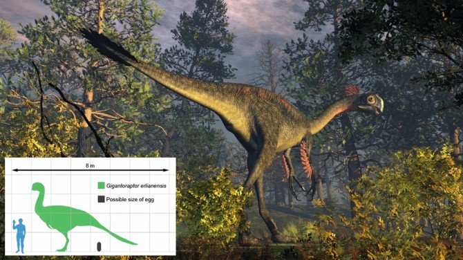 Dinosaur - Weirdest Strangest Coolest - Gigantoraptor 2