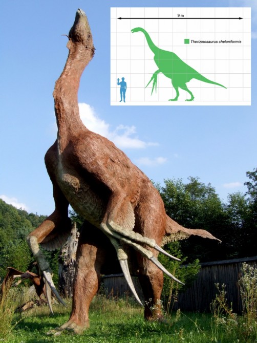 Dinosaur - Weirdest Strangest Coolest - Therizinosaurus