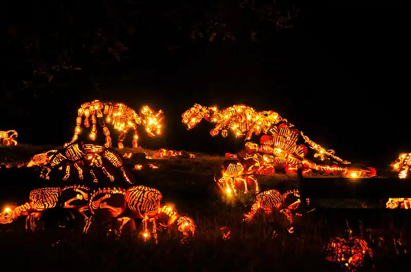 Great Jack O Lantern Blaze 3