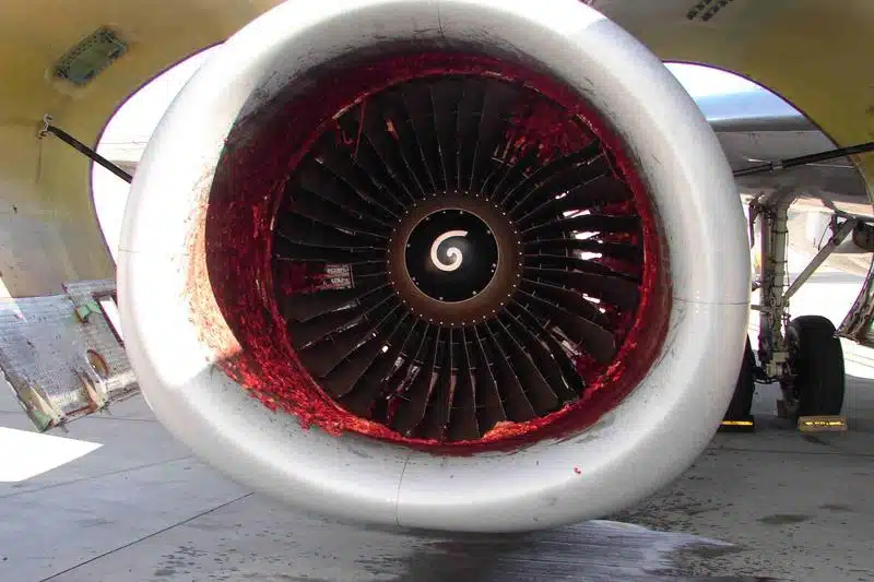 Man Sucked into Jetplane 1
