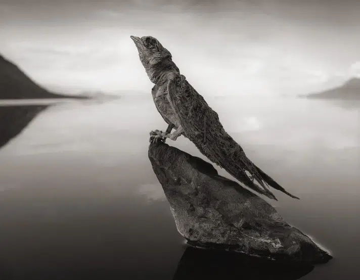 Lake Natron 5