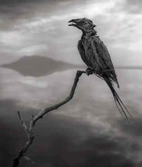 Lake Natron 3