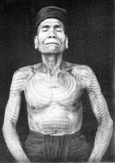 Tribe - Dayak - Head Hunters - Traditional Tattoos - 1896