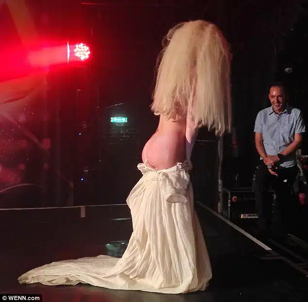 security gaga