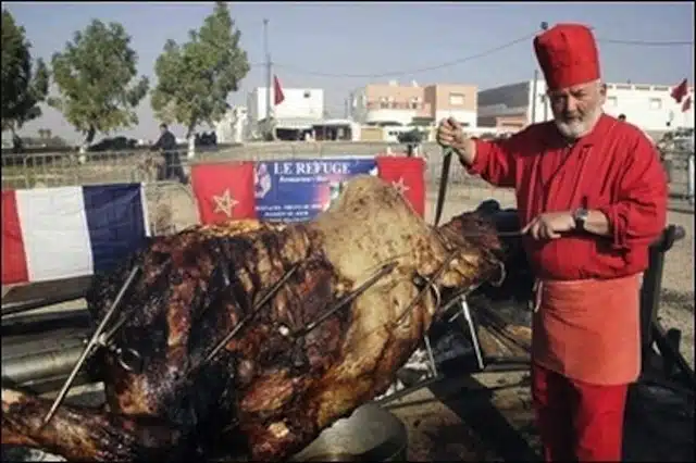 stuffed-camel